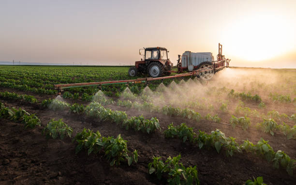 Reliable Rancho Cordova, CA Pest Control Solutions