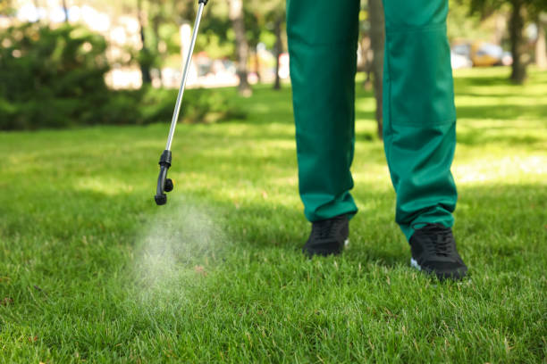 Best Flea Control Services  in Rancho Cordova, CA