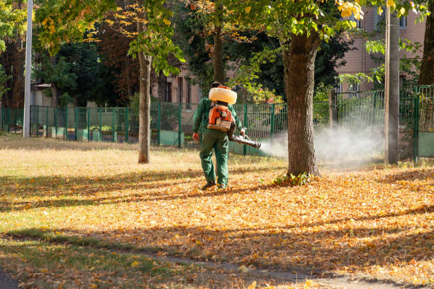 Best Residential Pest Control  in Rancho Cordova, CA