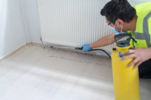 Best Pest Inspection Near Me  in Rancho Cordova, CA