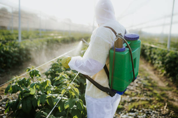Best Bed Bug Extermination  in Rancho Cordova, CA